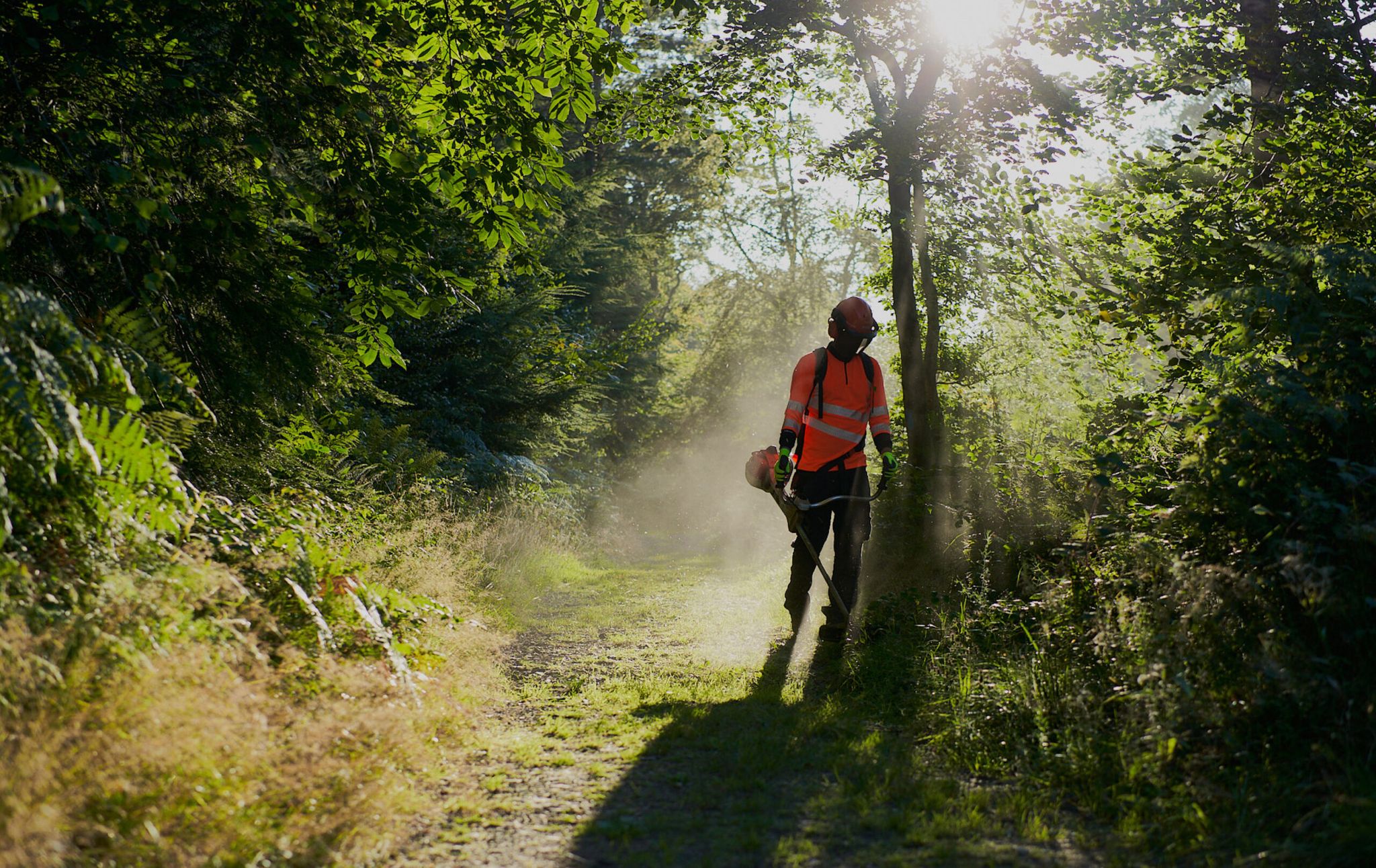 Strimming Regular path and ride maintenance