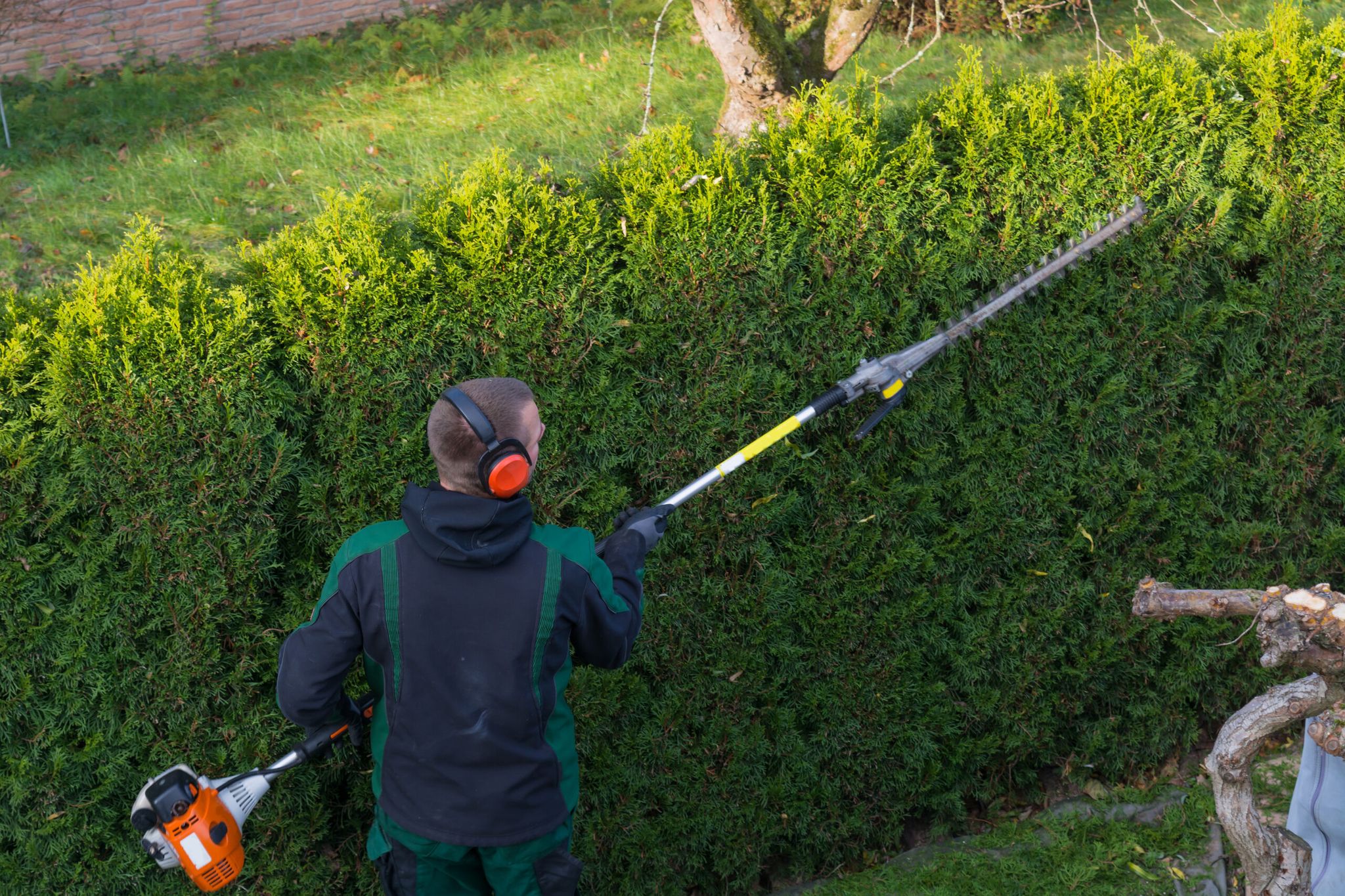 Hedge Maintenance and Hedge Cutting