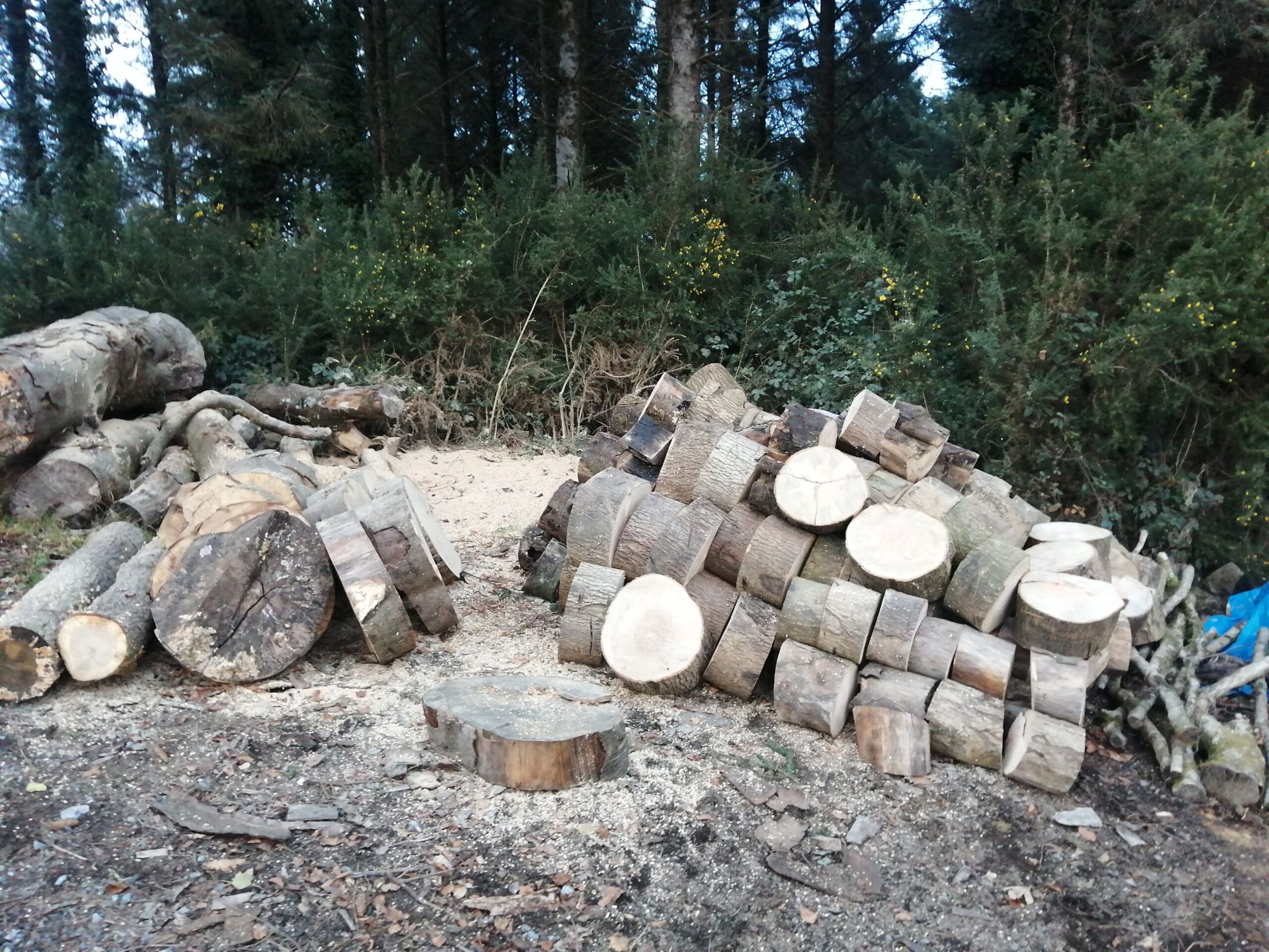 Log and firewood processing