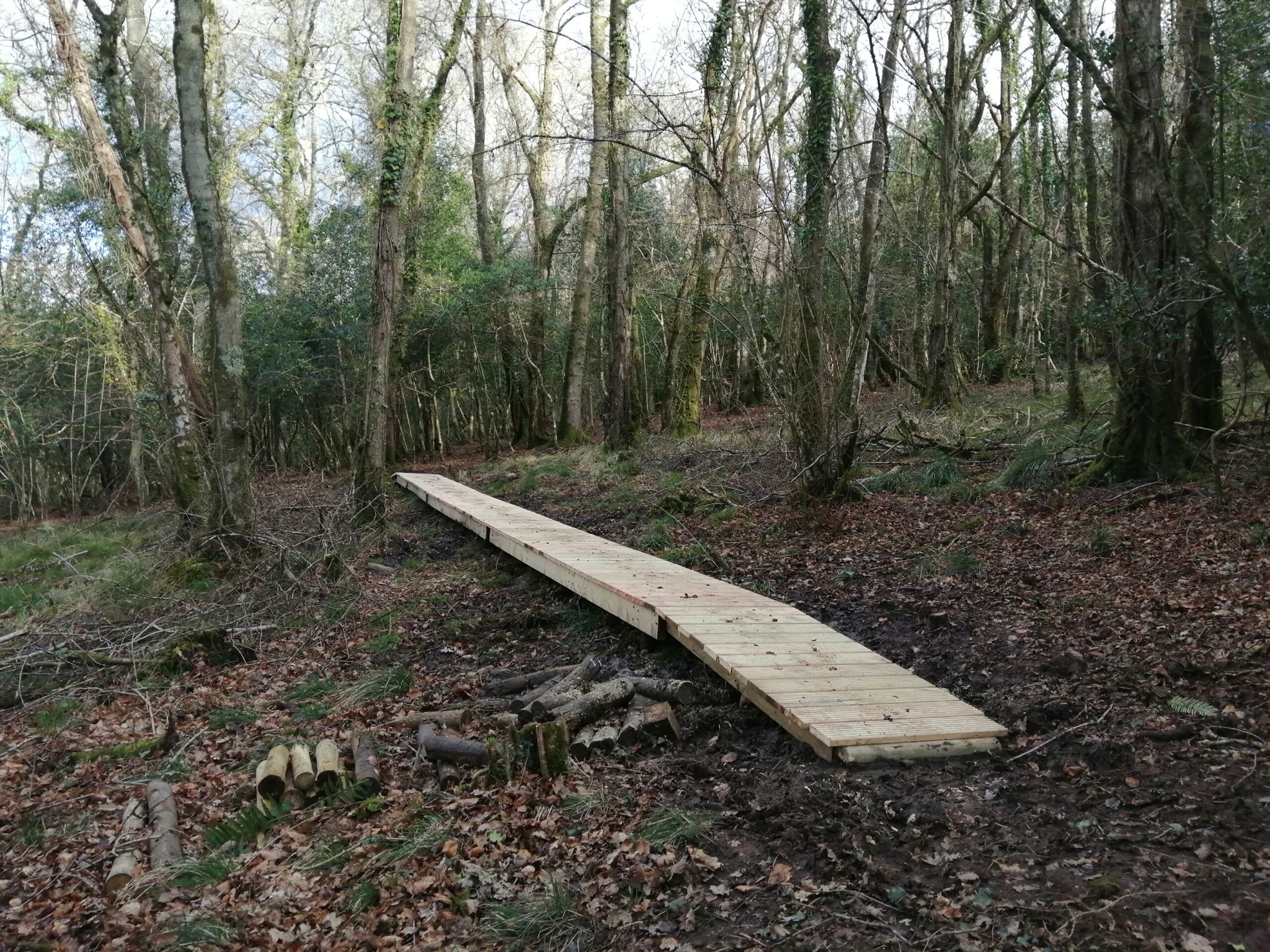 board walk