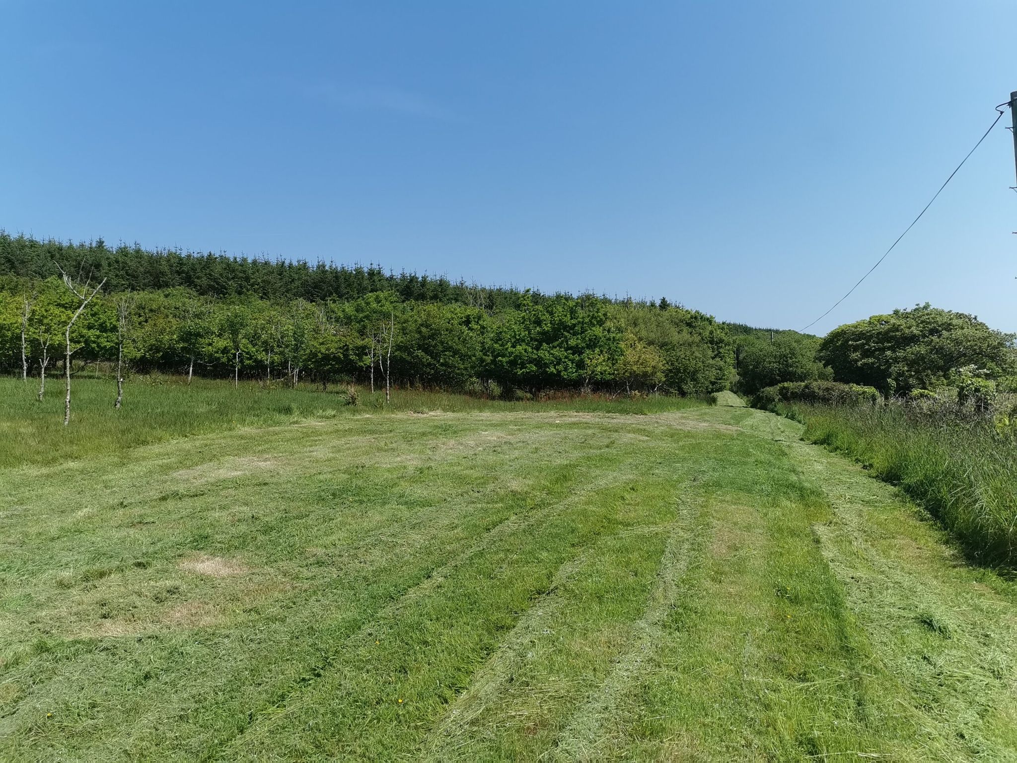 grass cutting and meadow management